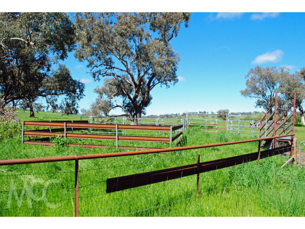 Lot 1 & 4 Mouse Hole Lane, Boree NSW 2800, Image 1