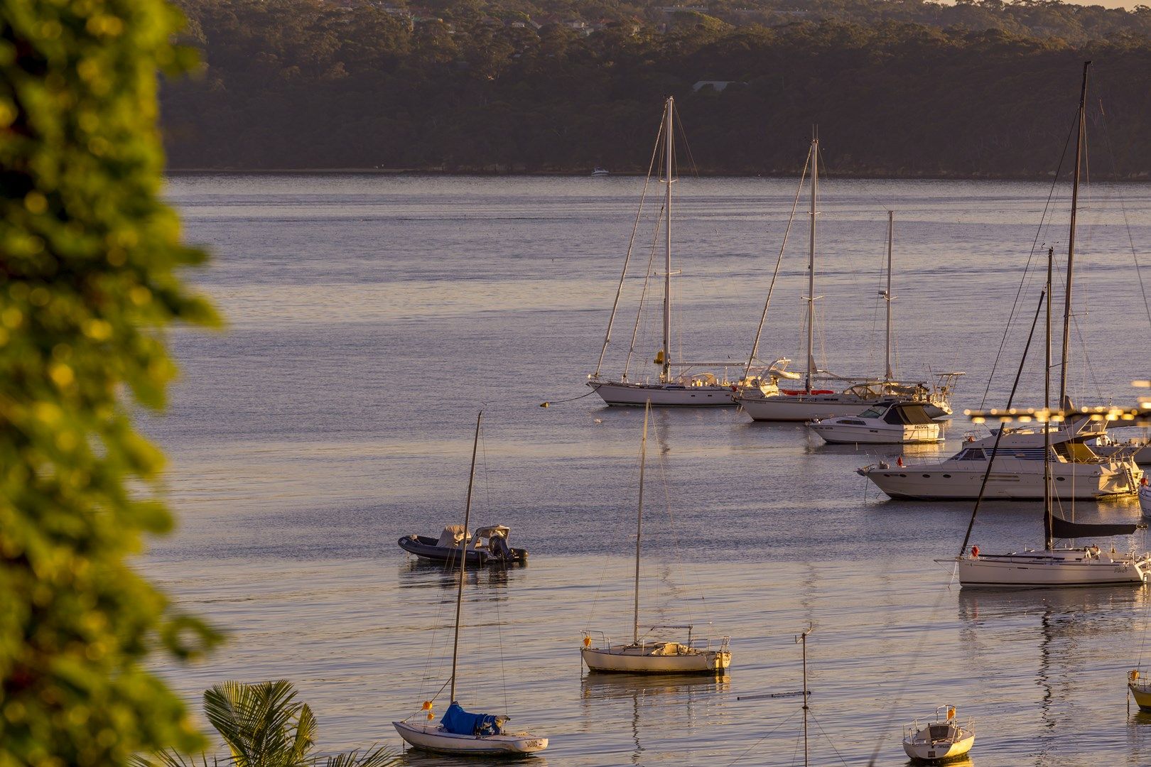 3/10 Onslow Avenue, Elizabeth Bay NSW 2011, Image 0