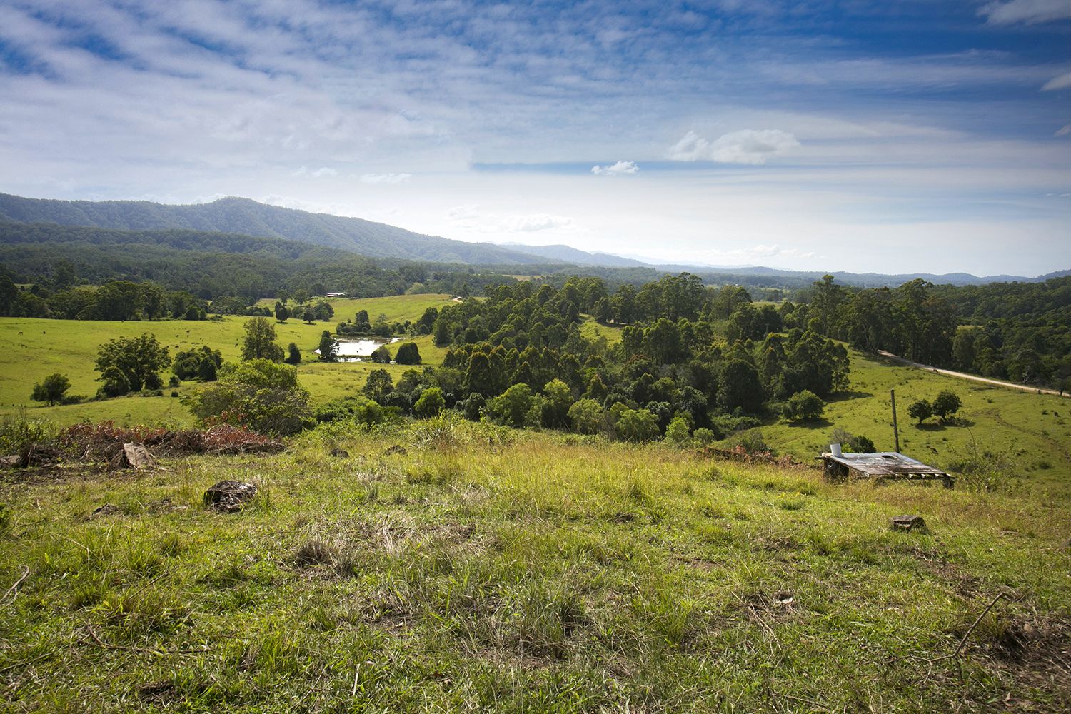 525 Newee Creek Road, Newee Creek NSW 2447, Image 0