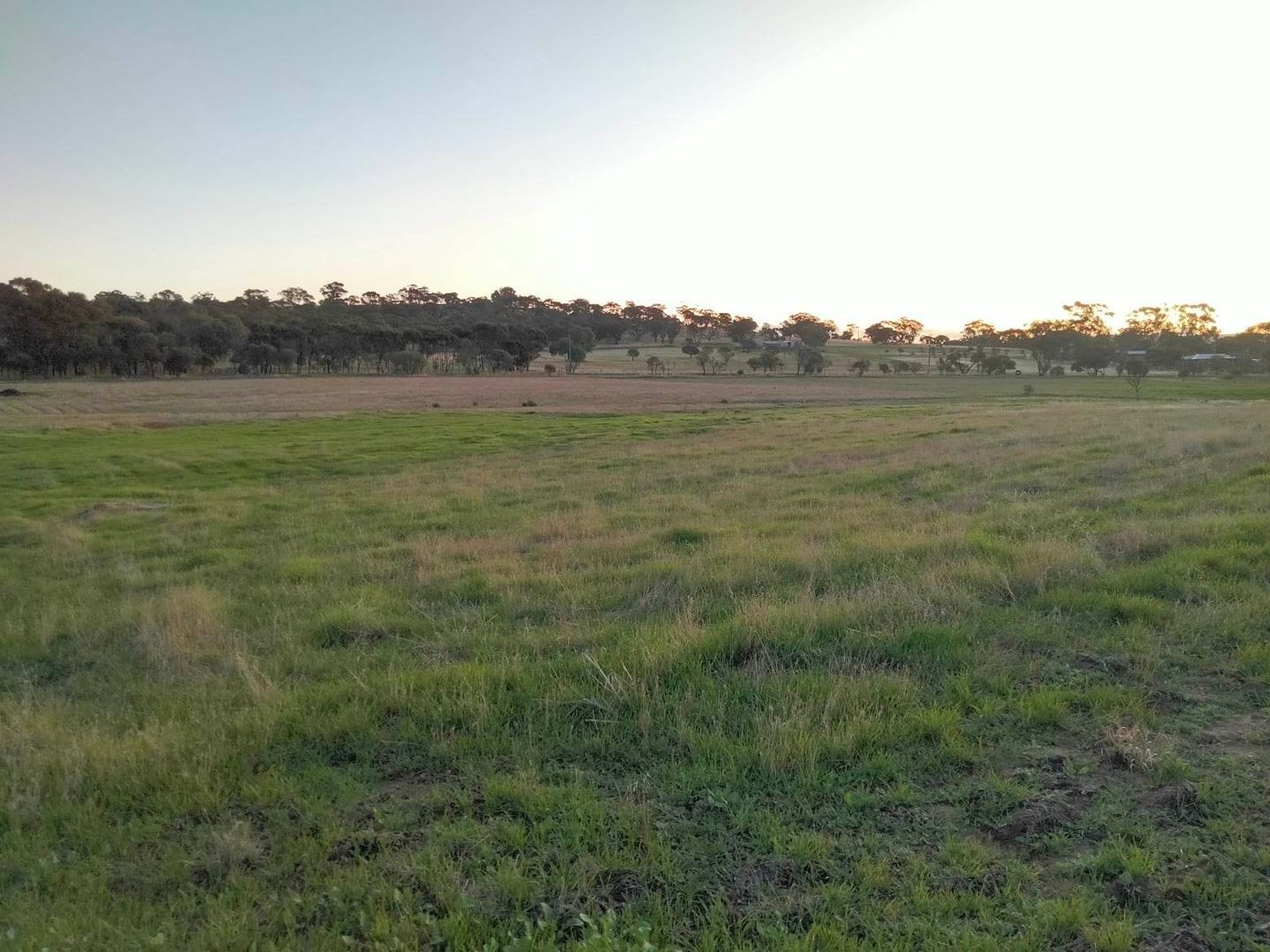 Lot 62 Osborn Road, Mount Hardey WA 6302, Image 2