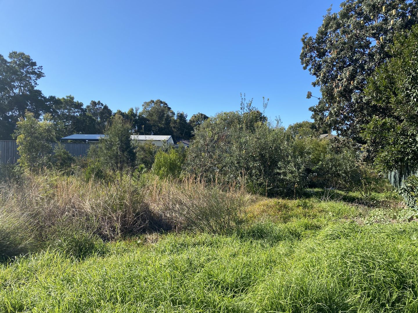 2 Myall Street, Tea Gardens NSW 2324 Domain