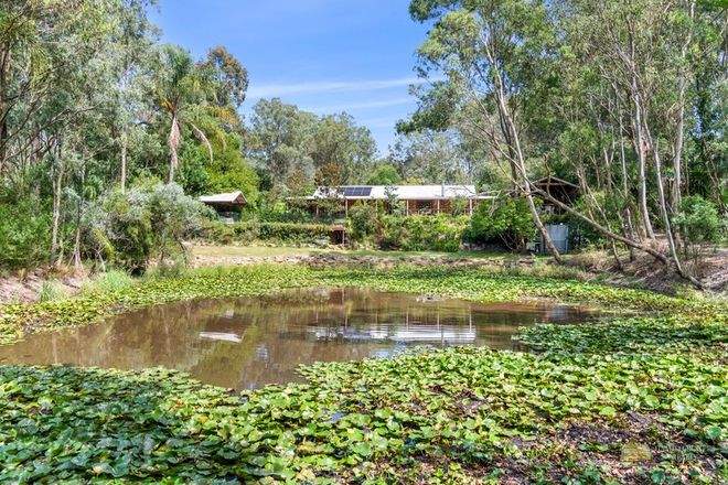 Picture of 126 Pebbly Hill Road, MARAYLYA NSW 2765