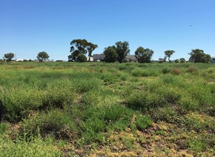 Picture of Lot Lot 1 Raven Road, LONGREACH QLD 4730