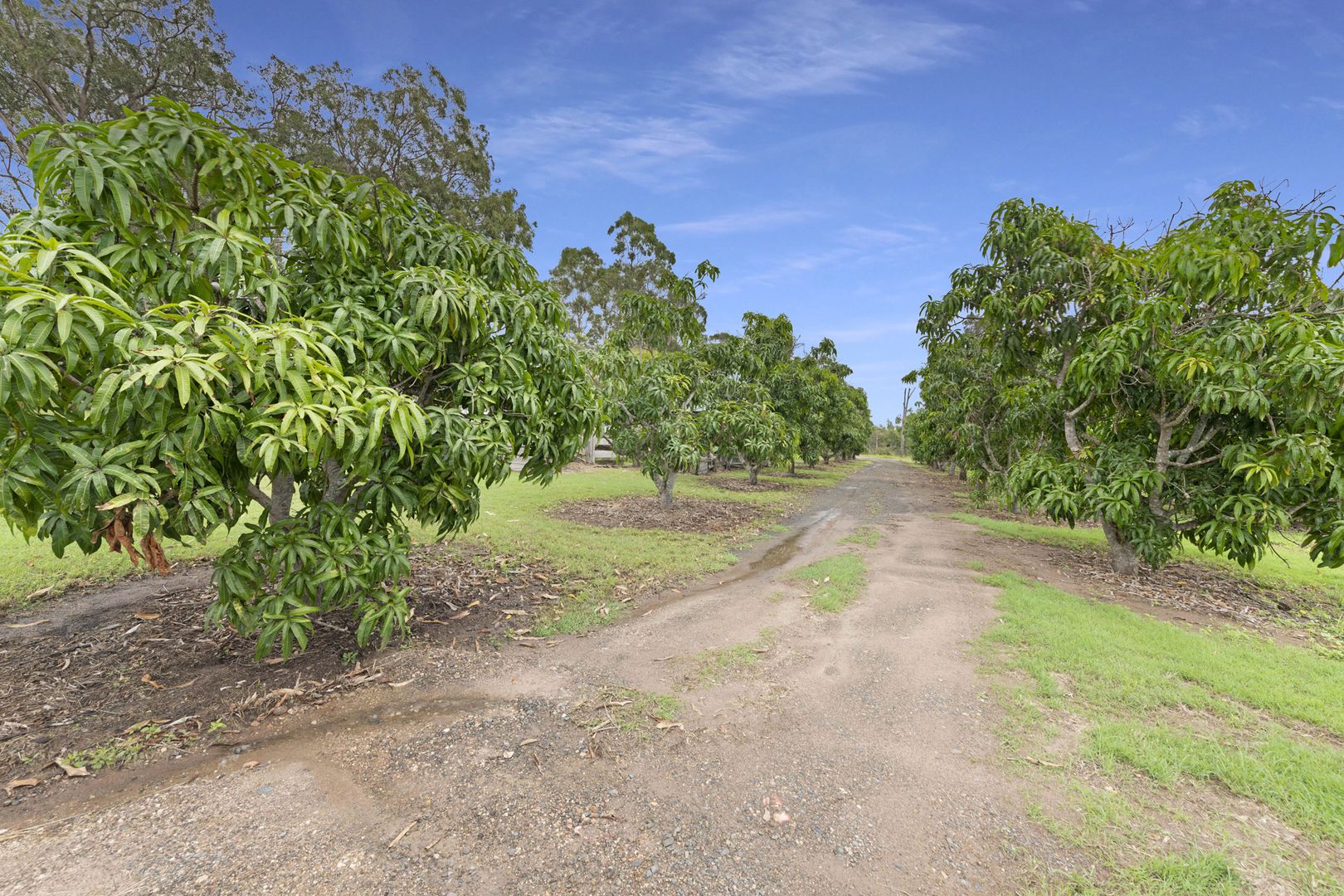 33913 Bruce Highway, Drinan QLD 4671, Image 2