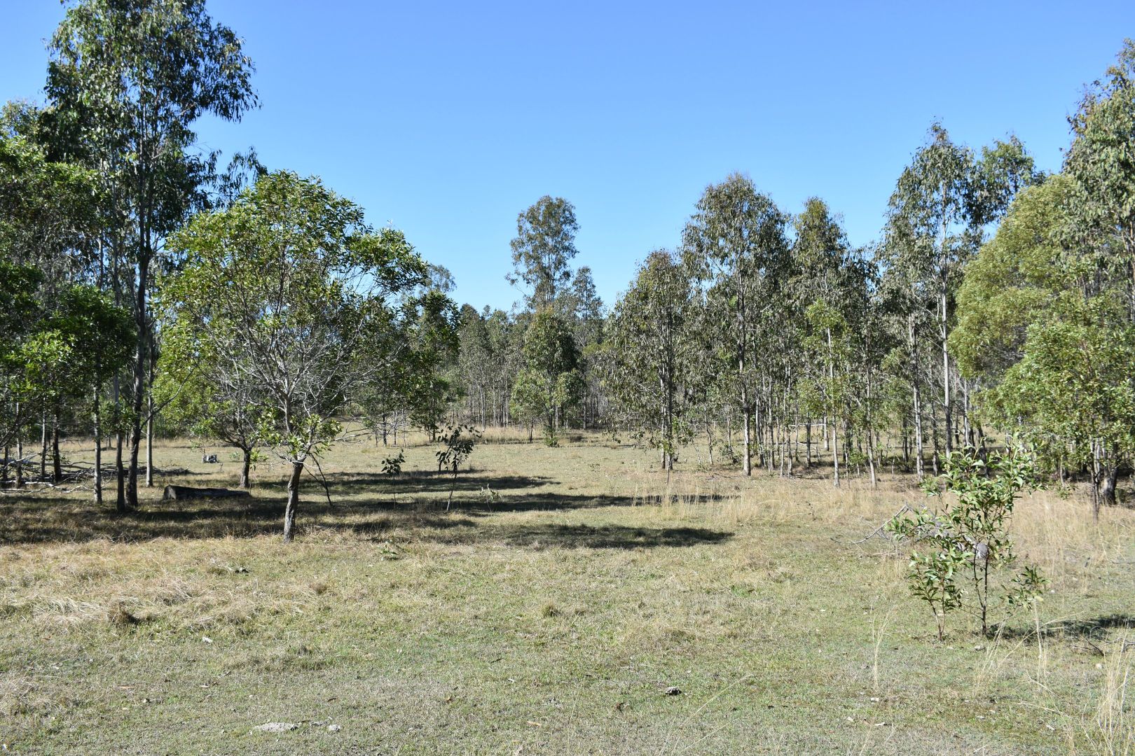 One Thirty Rd, Glenbar QLD 4620, Image 2