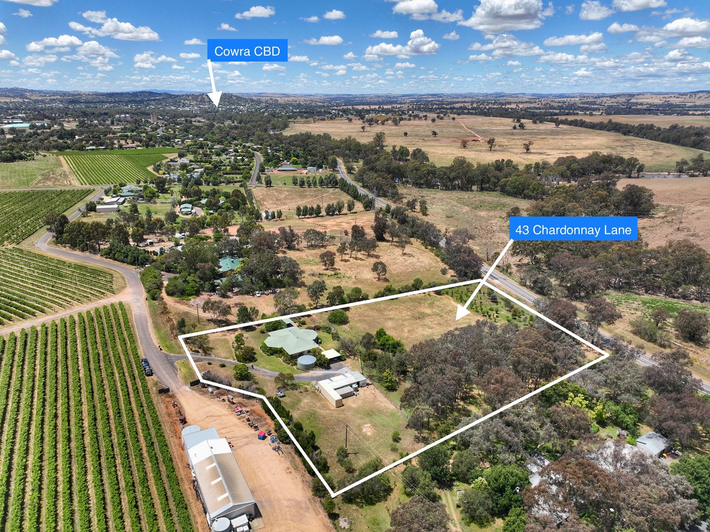 43 Chardonnay Lane, Cowra NSW 2794, Image 1