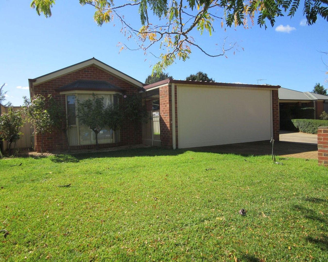 7 Lavender Court, Mildura VIC 3500 House For Rent Domain