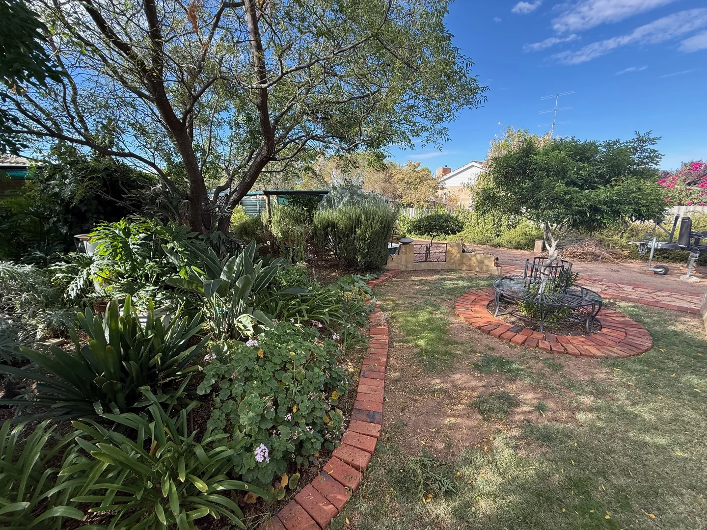 Image 23
