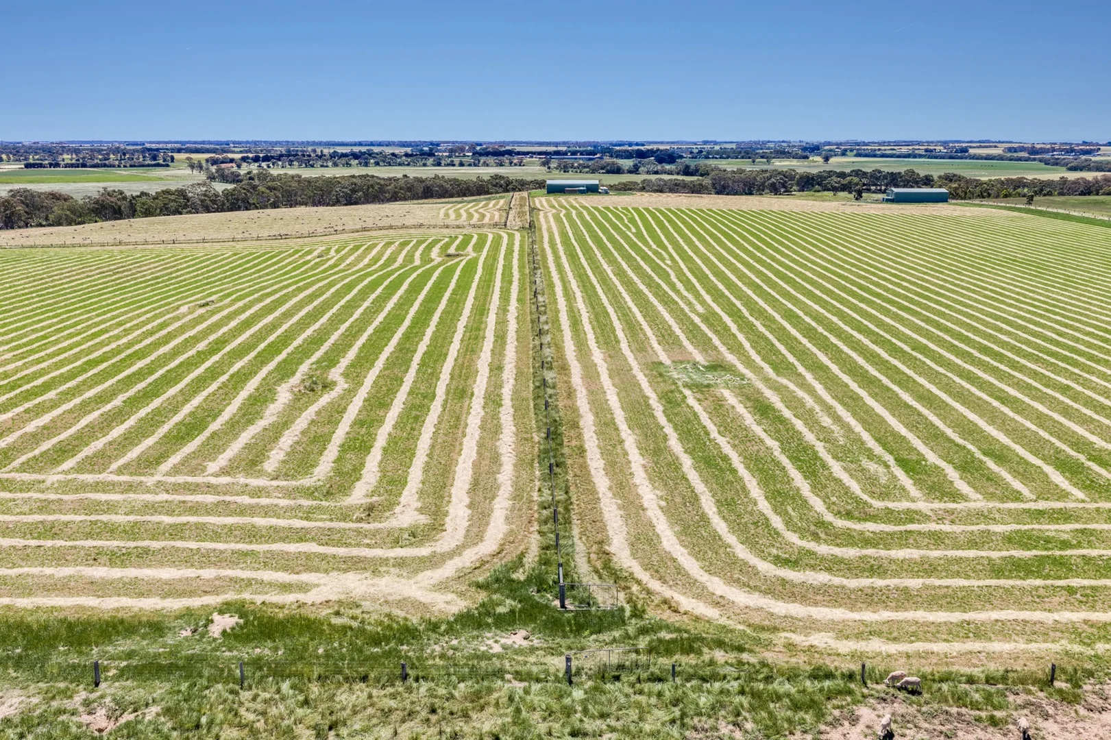 Additional image 9 of 1159 Inverleigh-Winchelsea Road, Inverleigh VIC 3321