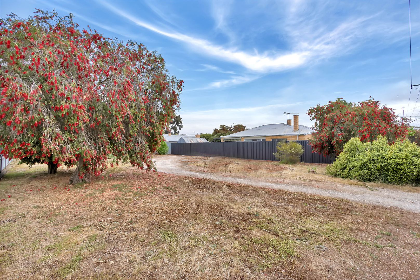 Lot 742 Krieg Street, Nuriootpa SA 5355, Image 1