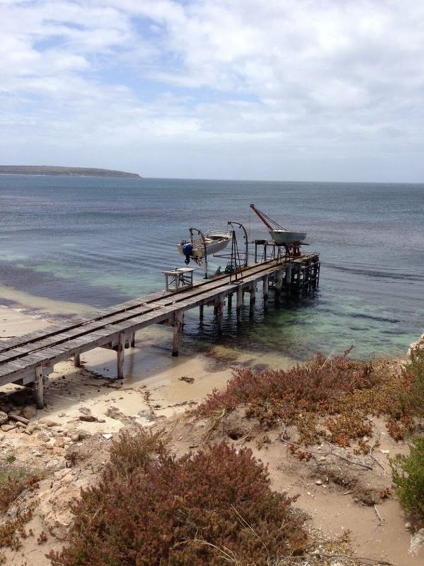 99 Government Road, Wedge Island SA 5606 Domain