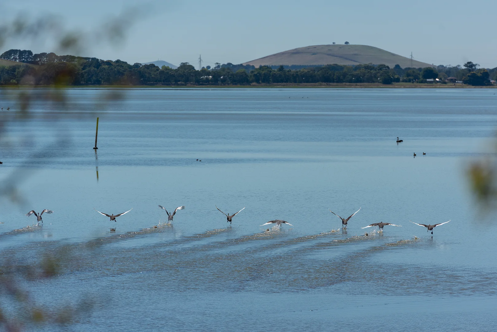 Additional image 32 of 90 Whitehands Road, Weatherboard VIC 3352