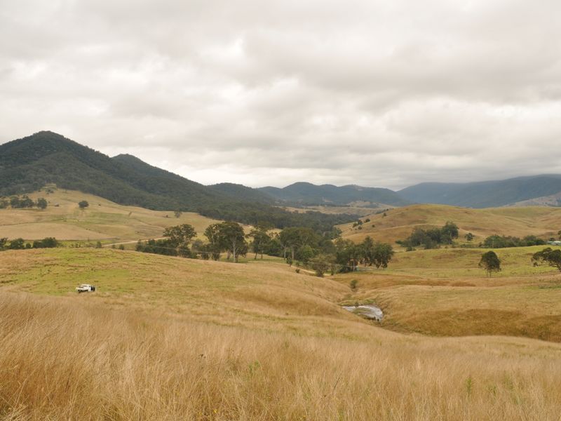 65 Cells Road, NUMBER ONE NSW 2424, Image 0