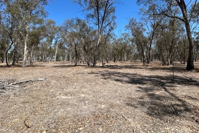 Image 10