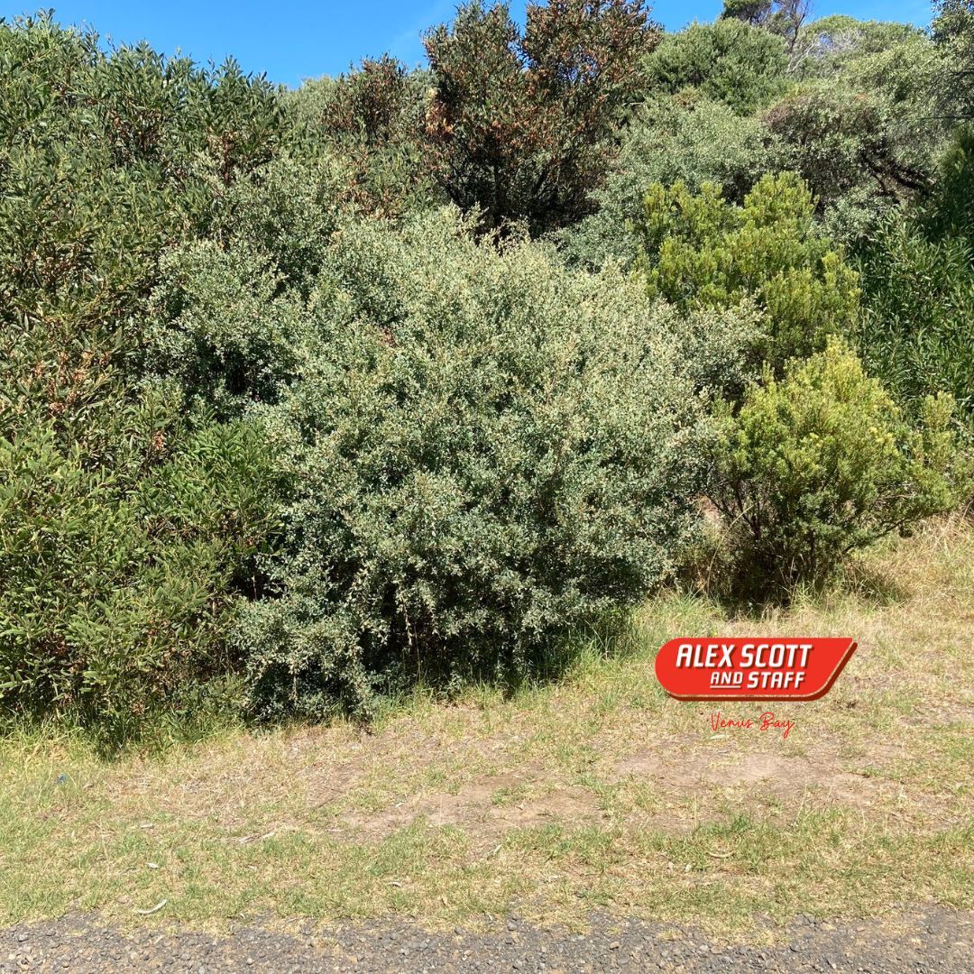 20 Street, Venus Bay VIC 3956 Domain