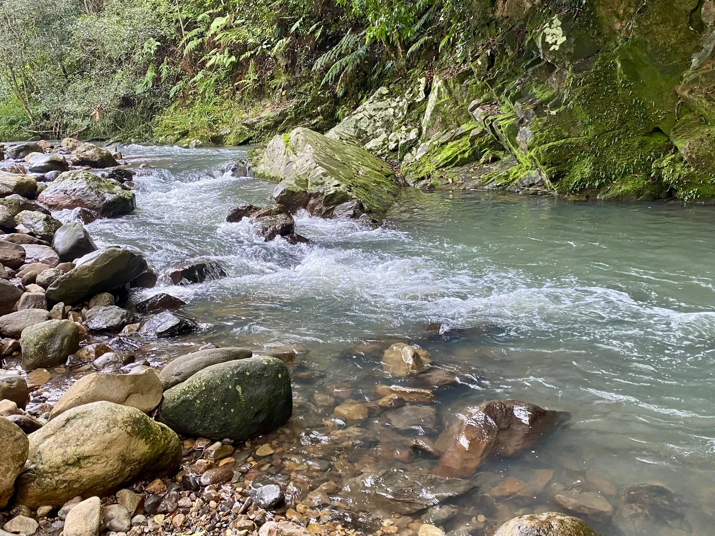 Image 22