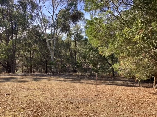 Image 7