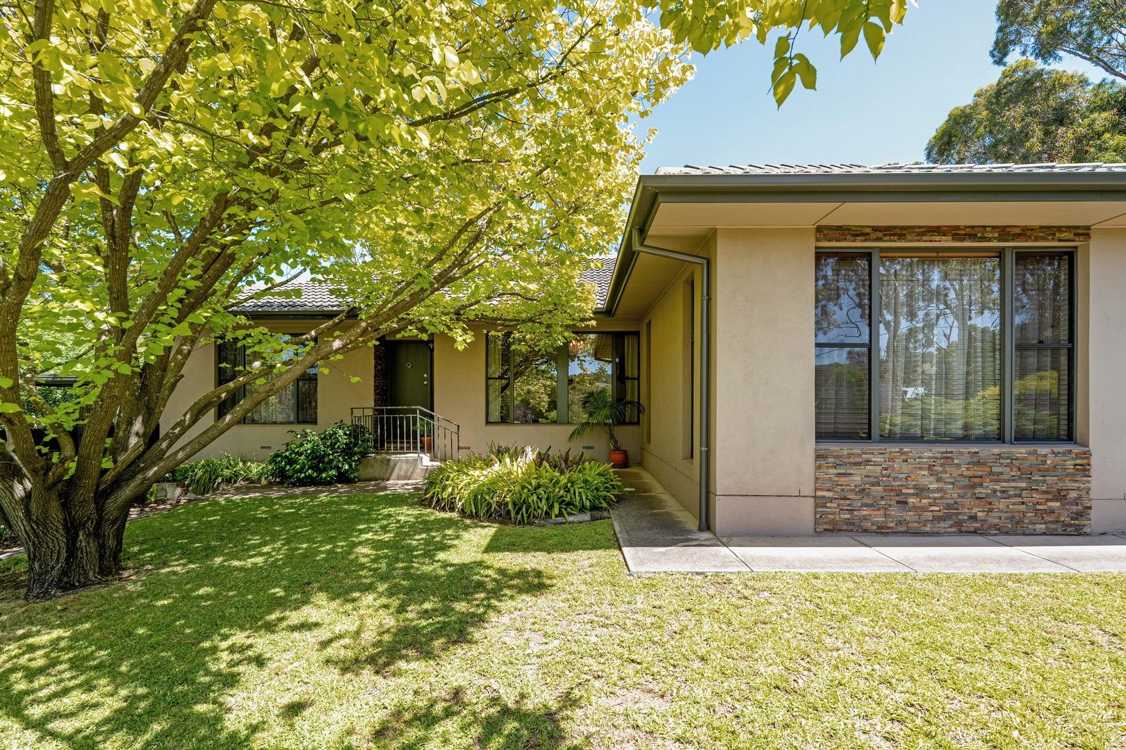 2 Protea Avenue, Coromandel Valley SA 5051, Image 0