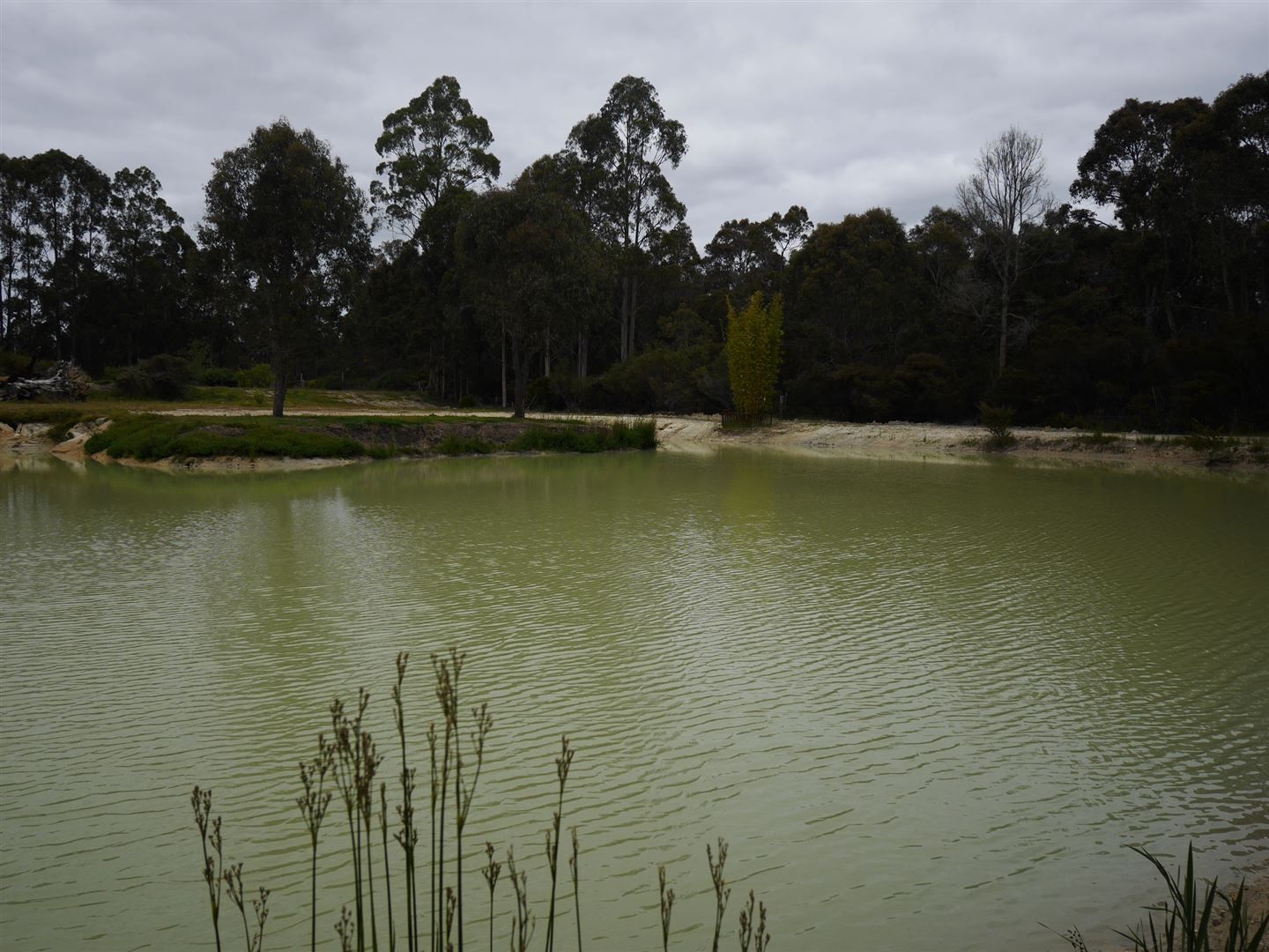 3821 Wheatley Coast Road, Northcliff Property History & Address