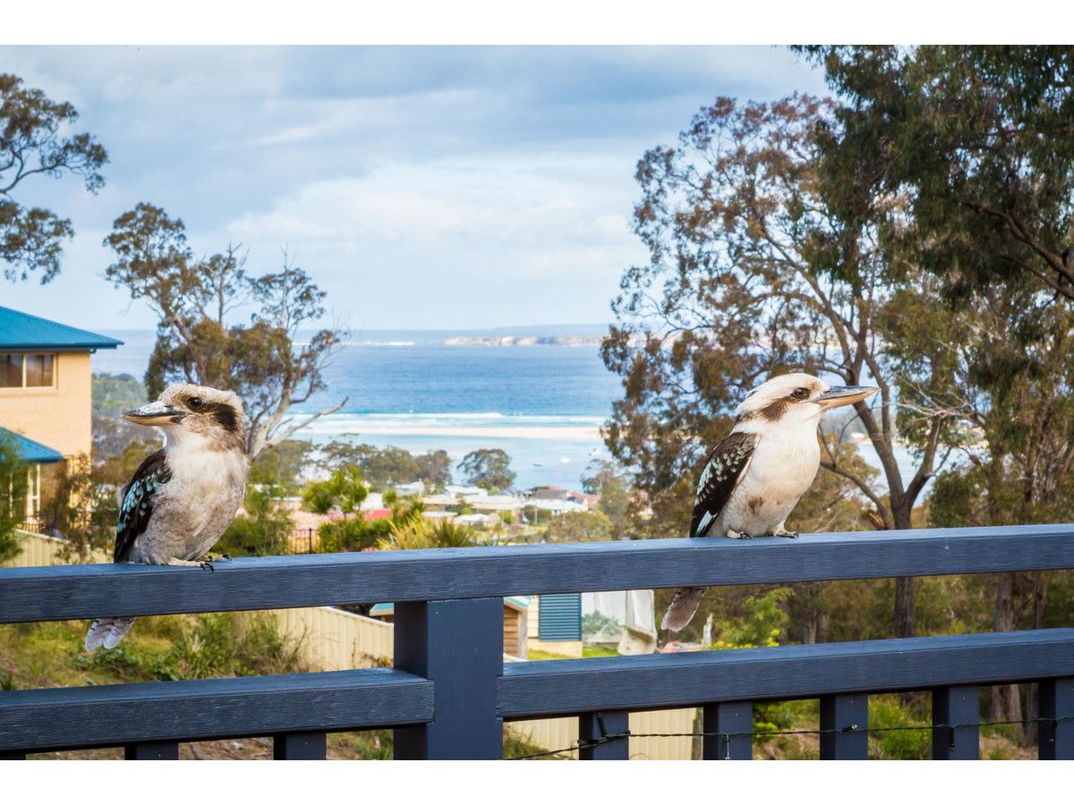 14 Camilla Court, Merimbula NSW 2548, Image 1