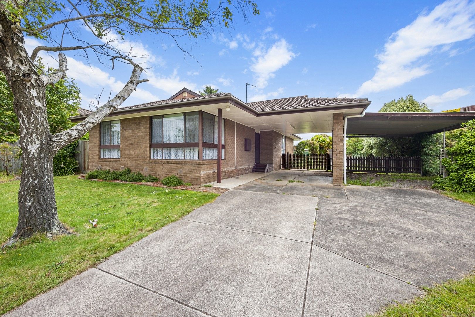 12 Windsor Ave, Alfredton VIC 3350 - House For Rent | Domain