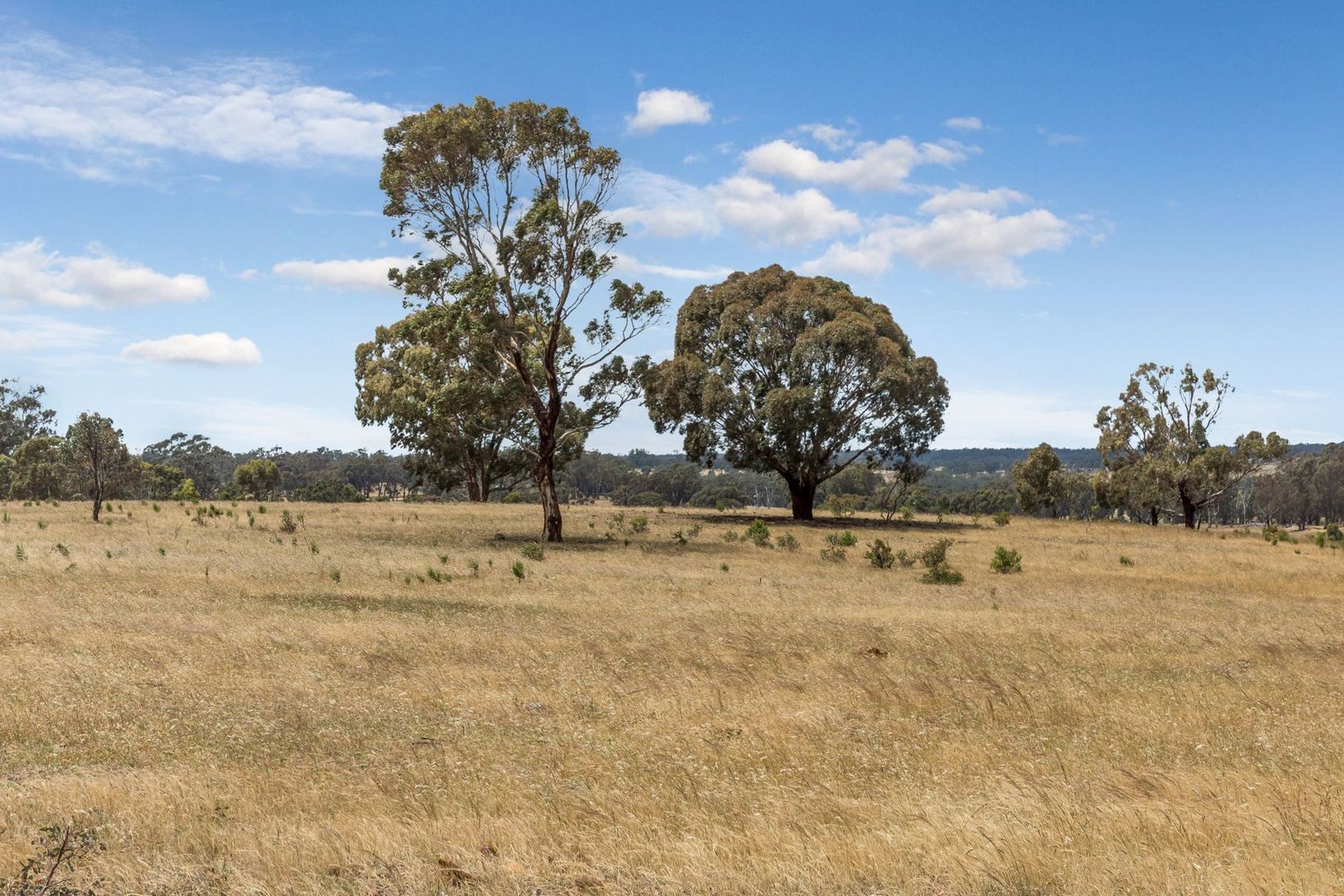 Lot 3 Stewart Road, Eppalock VIC 3551, Image 1