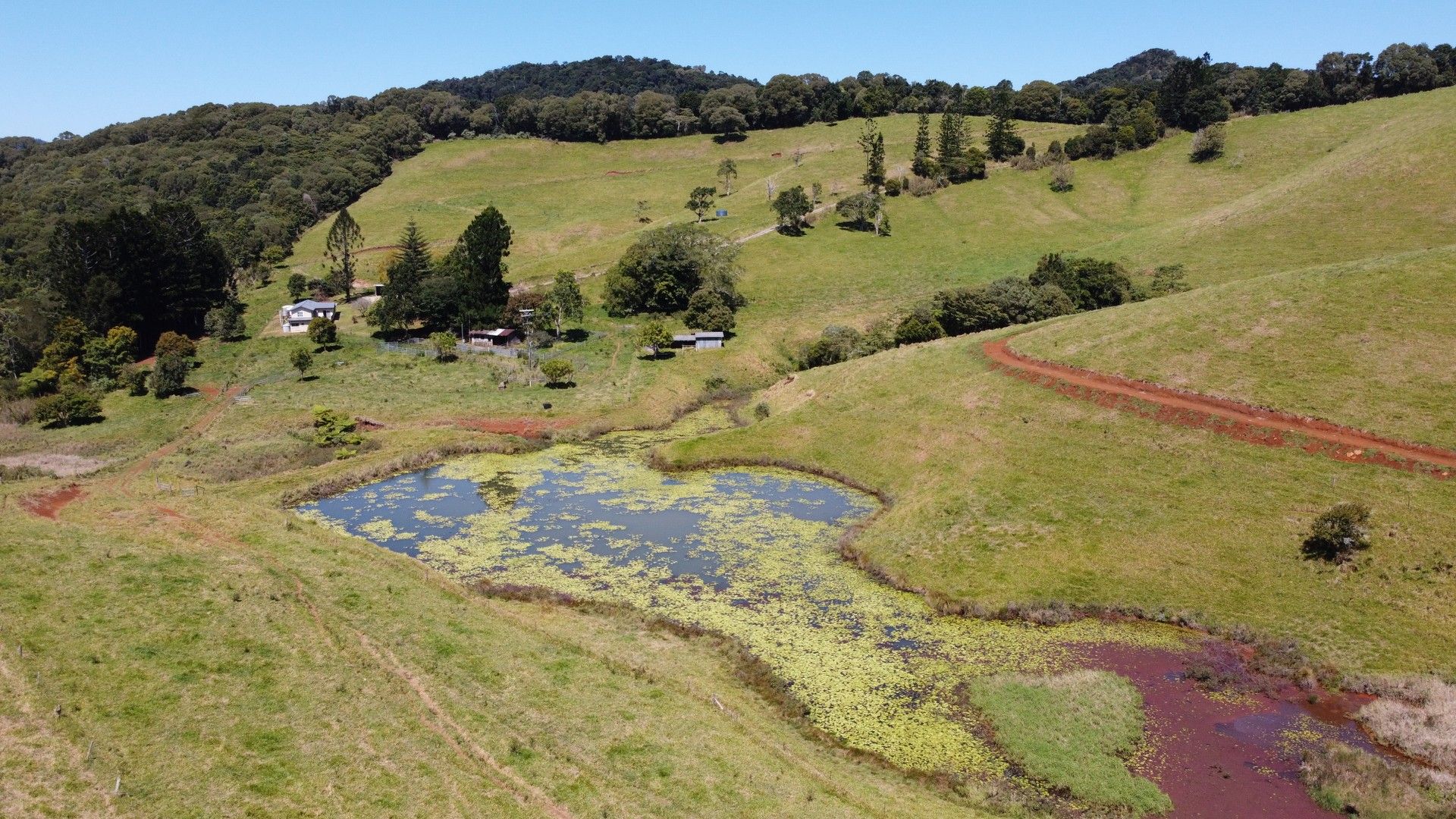 Tarzali QLD 4885 House for Sale Domain