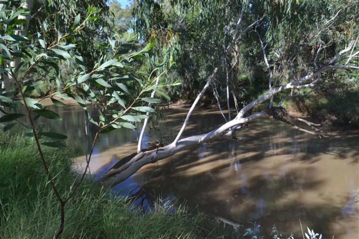 "Holmleigh" Prairie Muttaburra Road, Prairie QLD 4821, Image 0