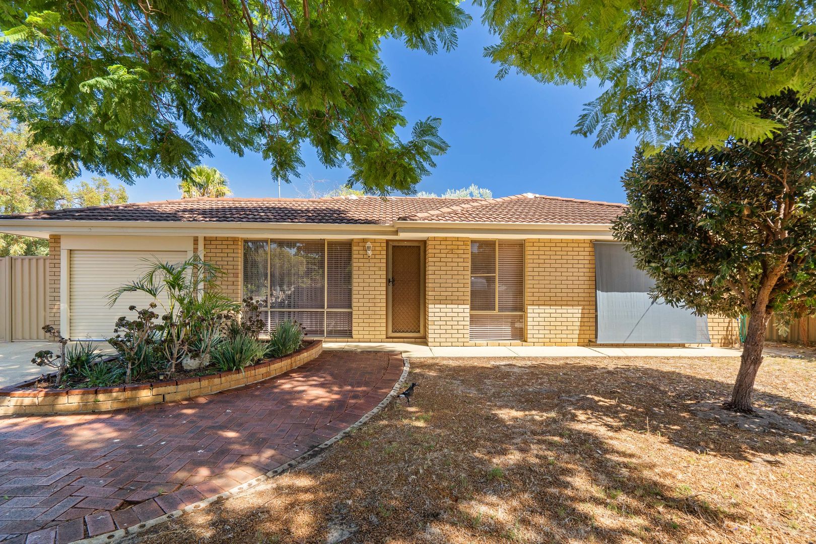 6 Revesby Place, Coodanup WA 6210 House For Rent 440 Domain