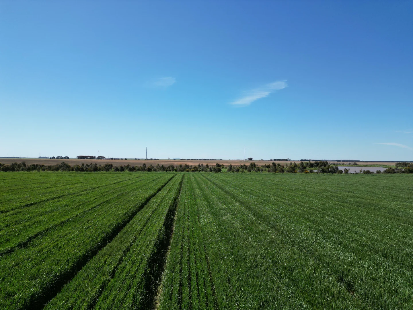 Additional image 6 of Woorndoo-Darlington Road, Woorndoo VIC 3272