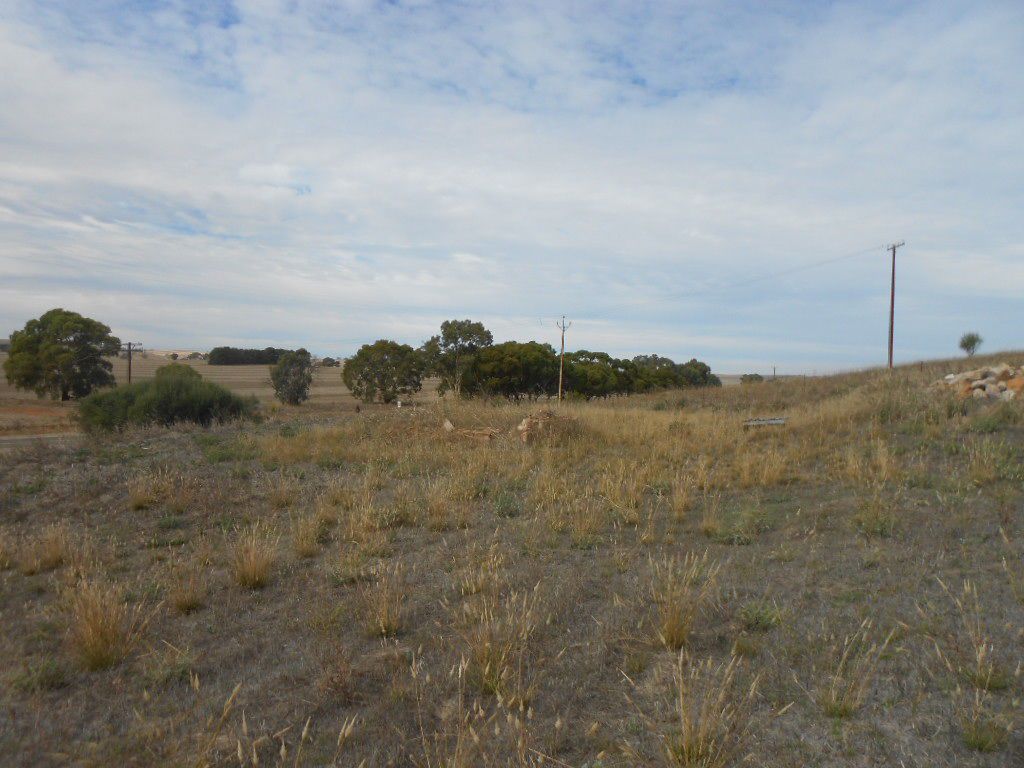 Lot 32 Tinline Road, Murray Town SA 5481, Image 2