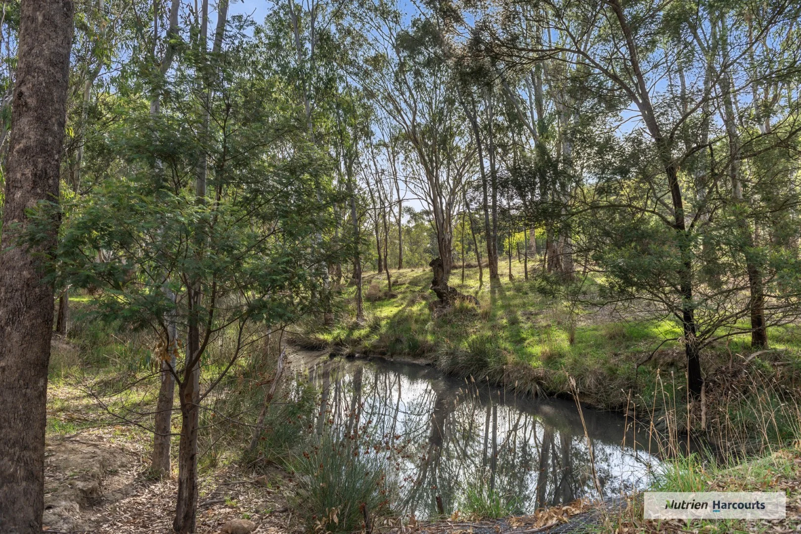 Additional image 16 of 310 Dockerys Road, Tallarook VIC 3659