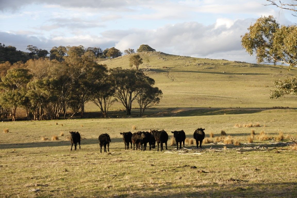 Jugiong NSW 2726, Image 2