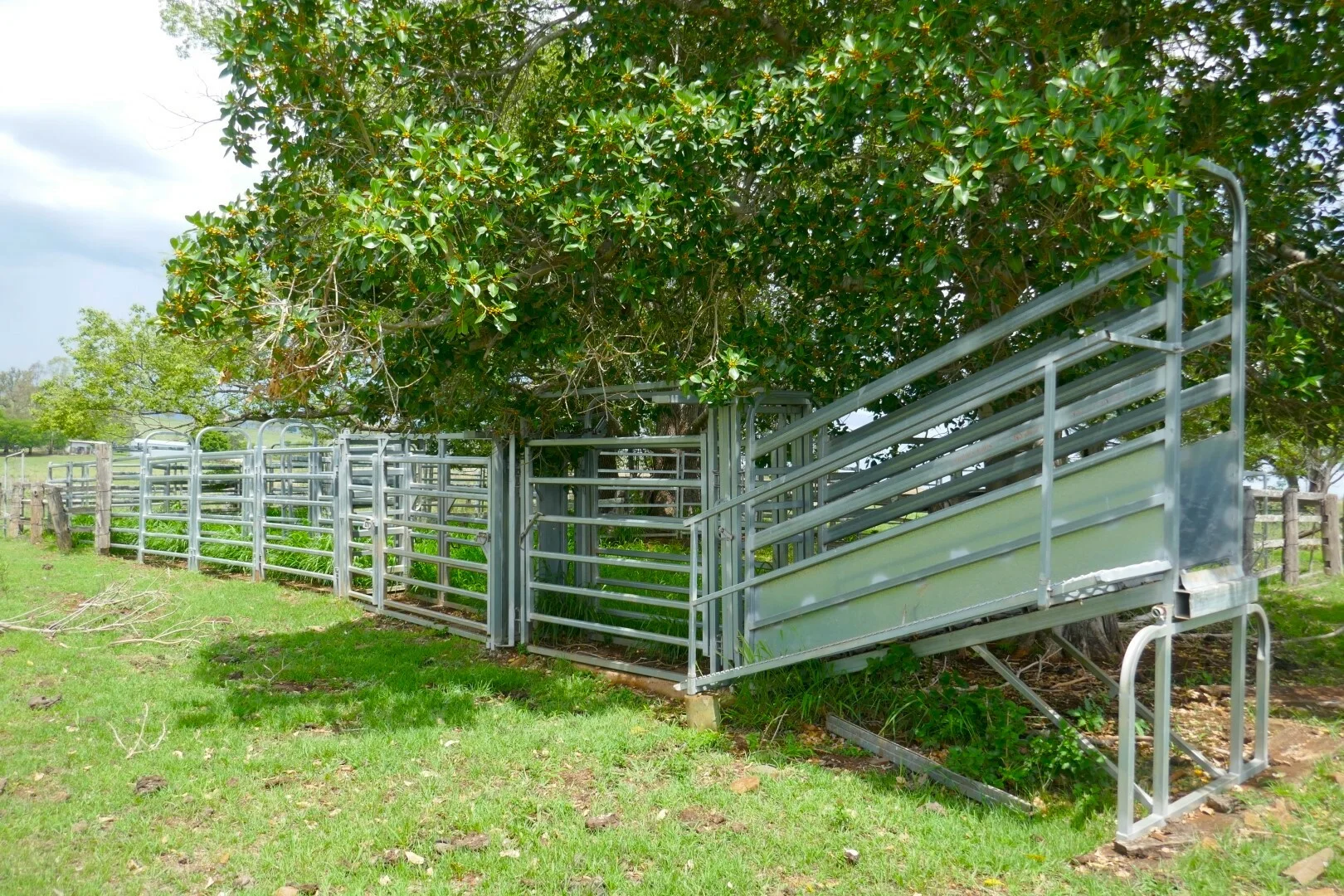 Image 7