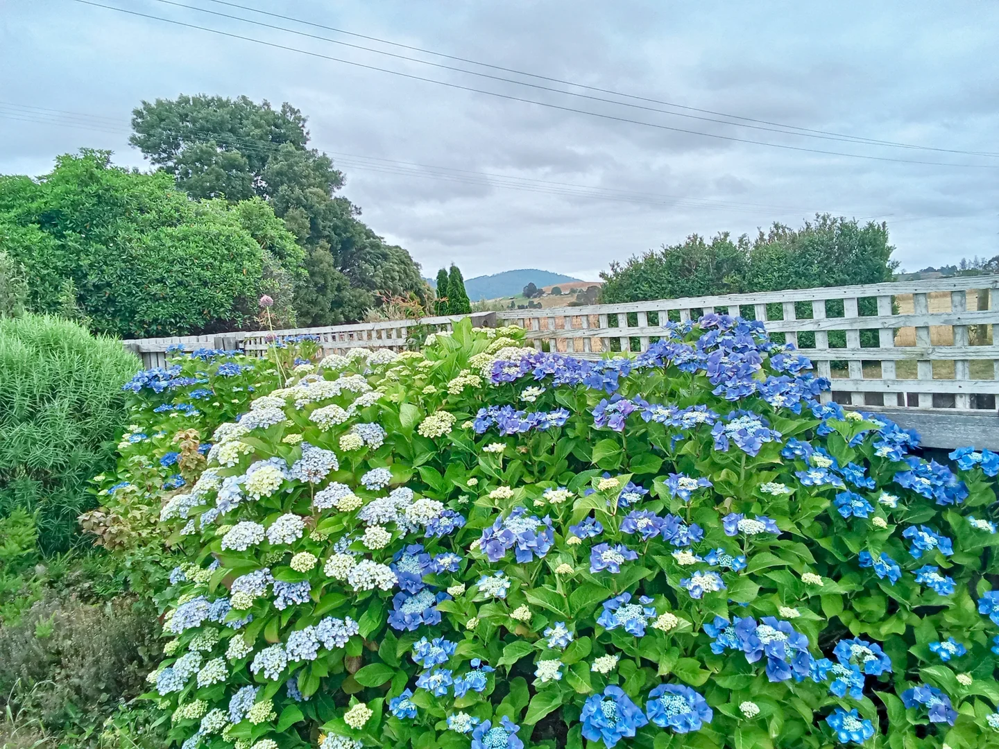 Additional image 27 of Springfield TAS 7260