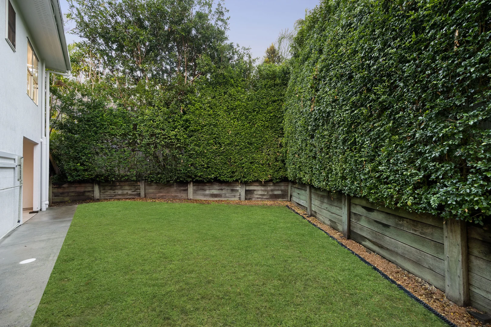 Image 15