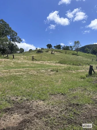 Image 13