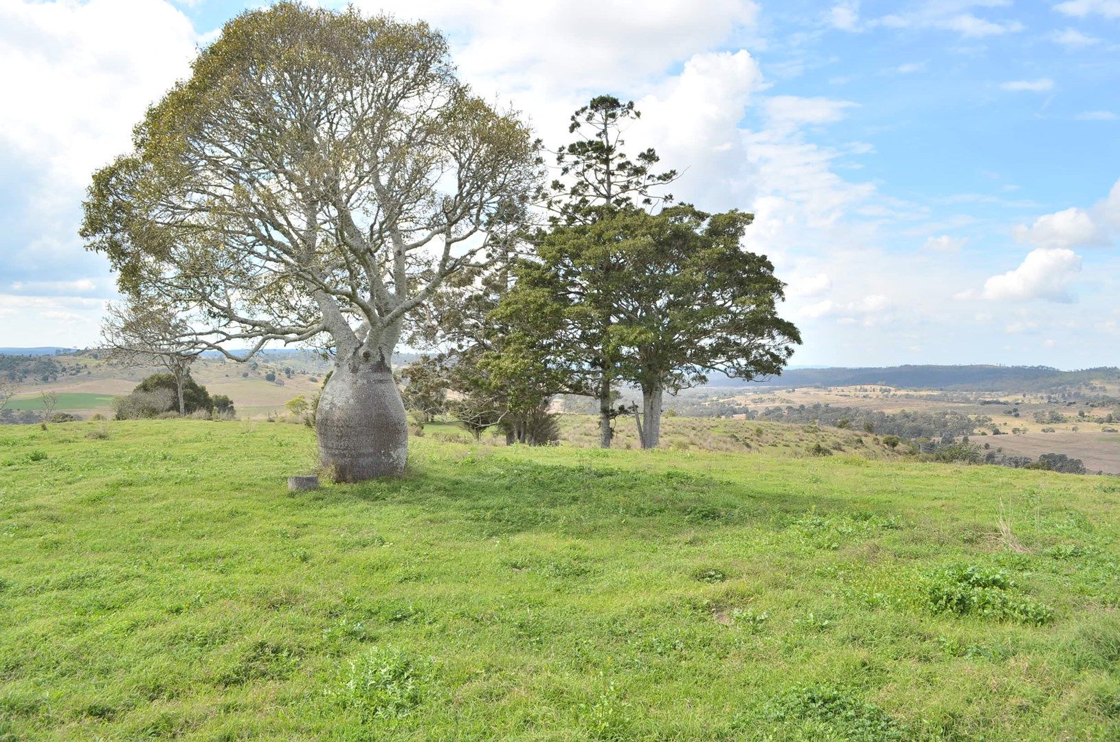 70 Thornville Range Road, Thornville QLD 4352, Image 0