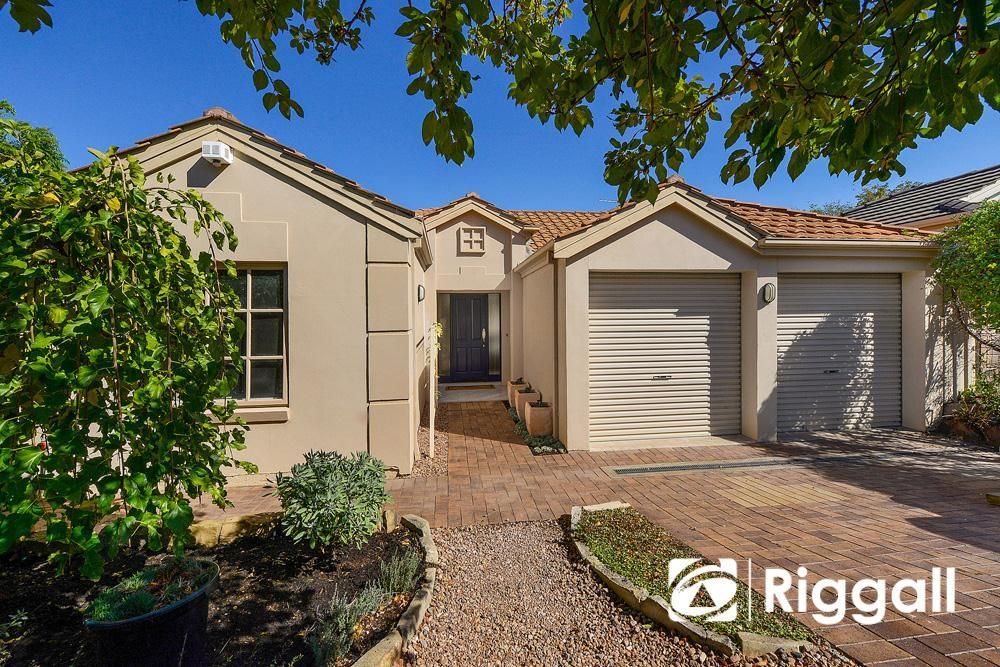 11 Rotz Court, Golden Grove SA 5125, Image 0