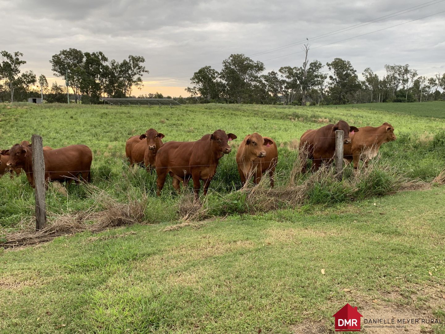 Mundubbera QLD 4626, Image 1