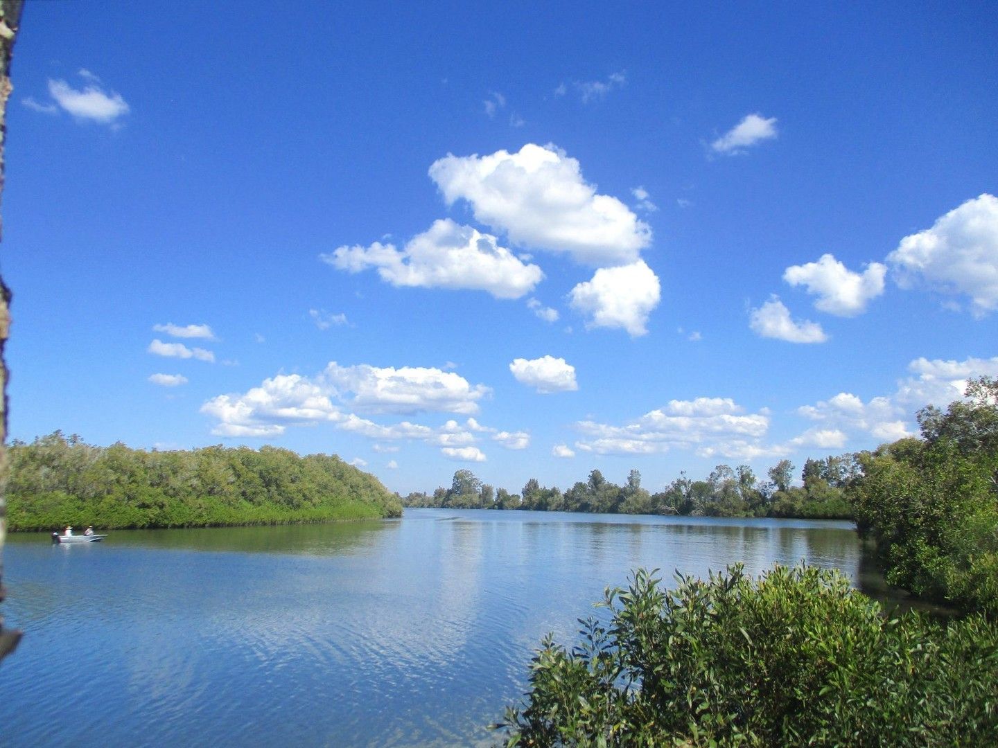 Harwood NSW 2465 House for Sale Domain