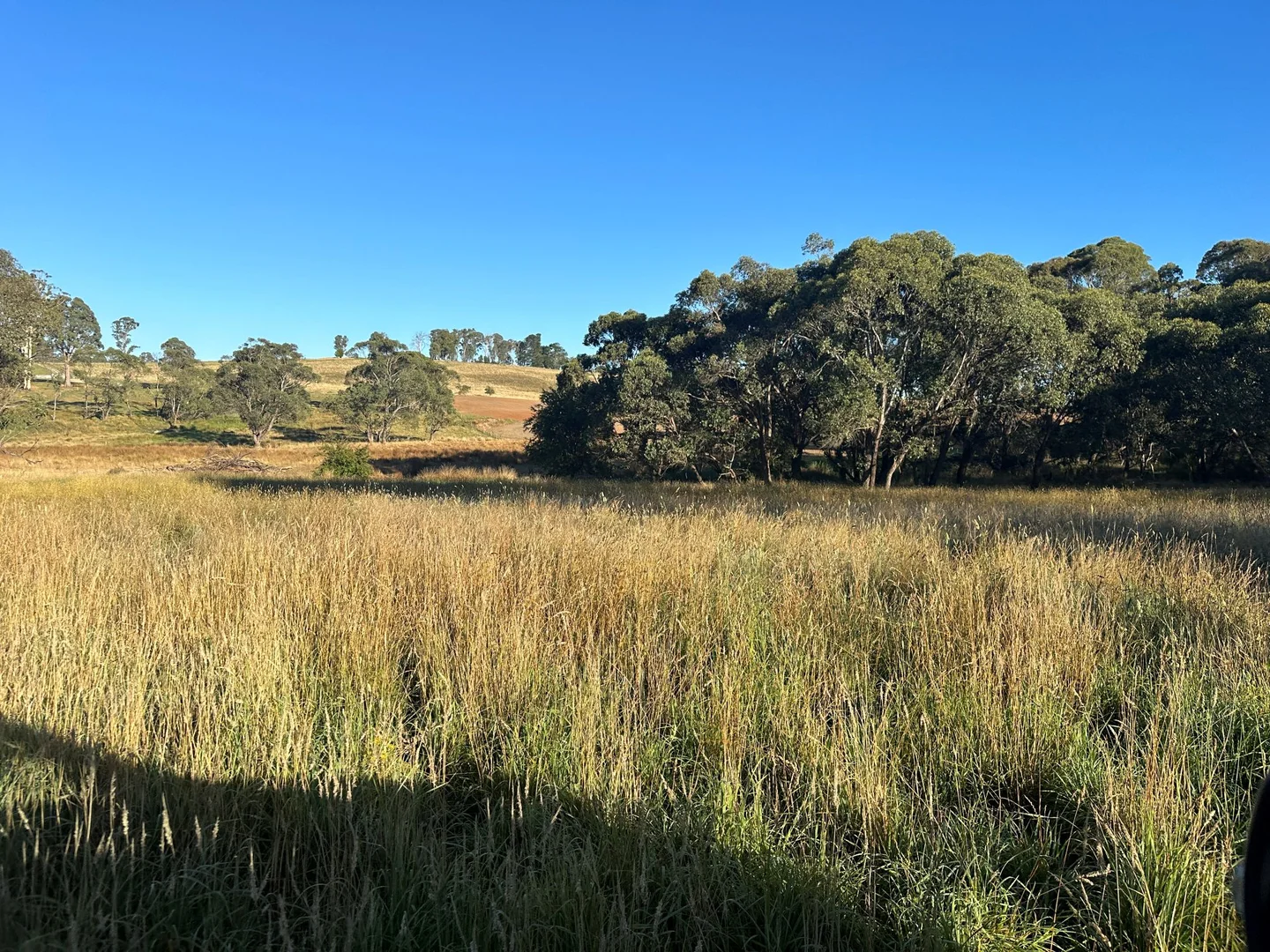 Image 14