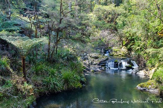 Picture of Cells River Road, YARROWITCH NSW 2354