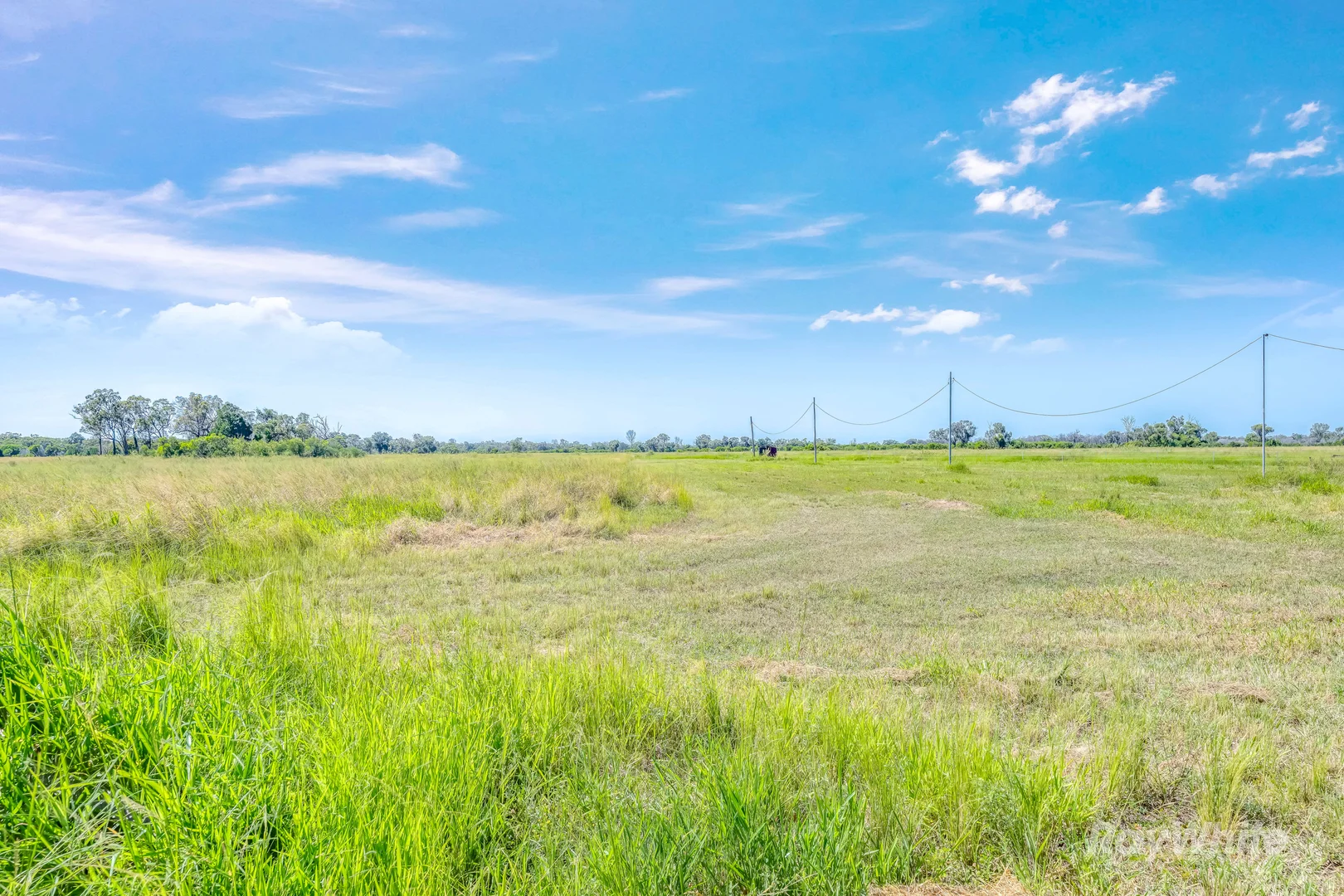 Additional image 22 of 204 Fallons Rocks Road, Calavos QLD 4670