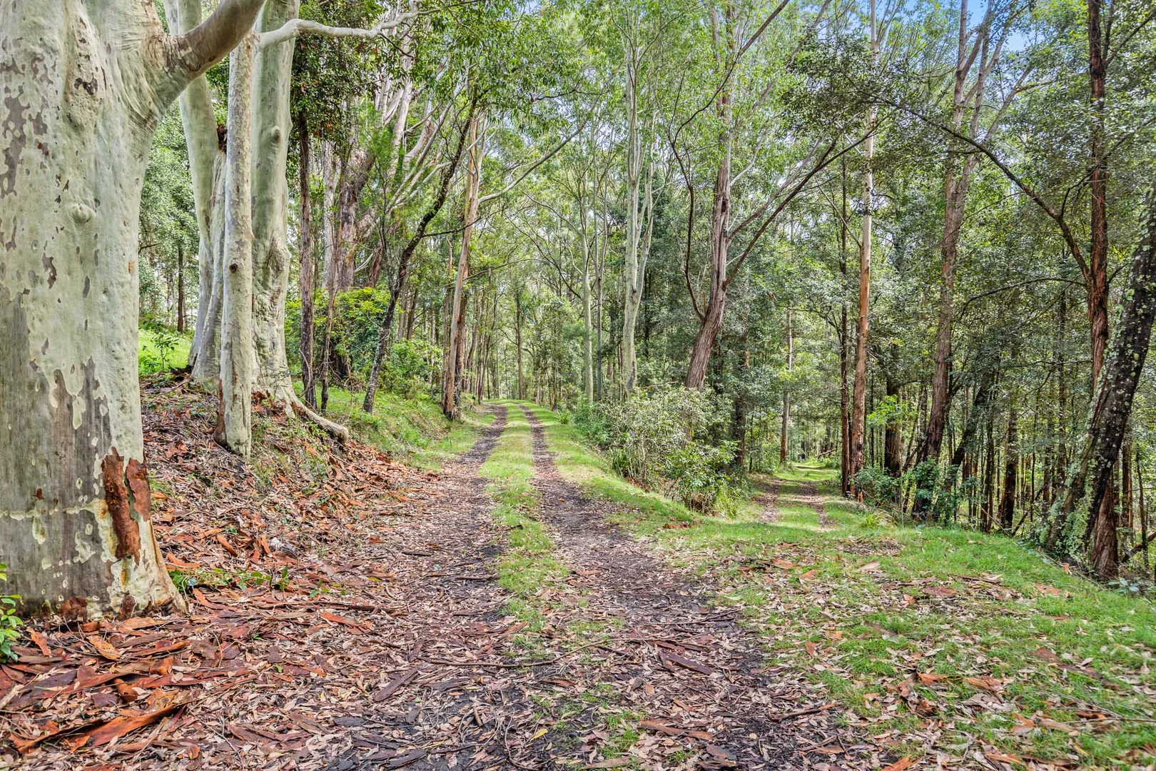 Additional image 8 of 618 Woodburn Road, Morton NSW 2538