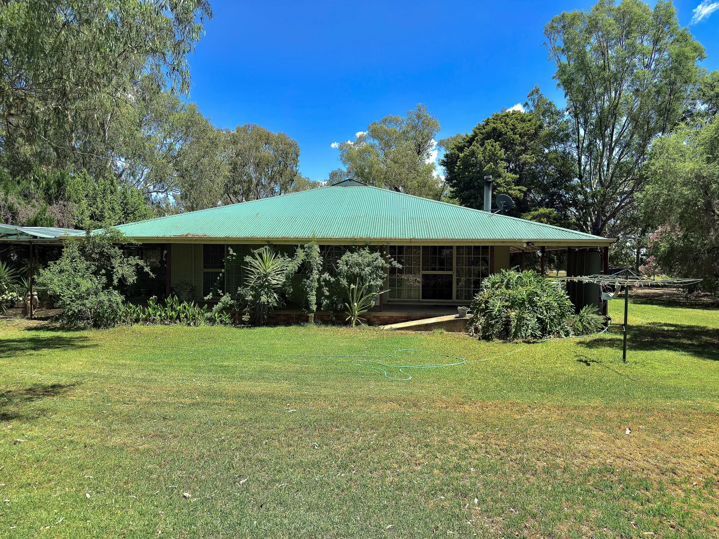 Image 7