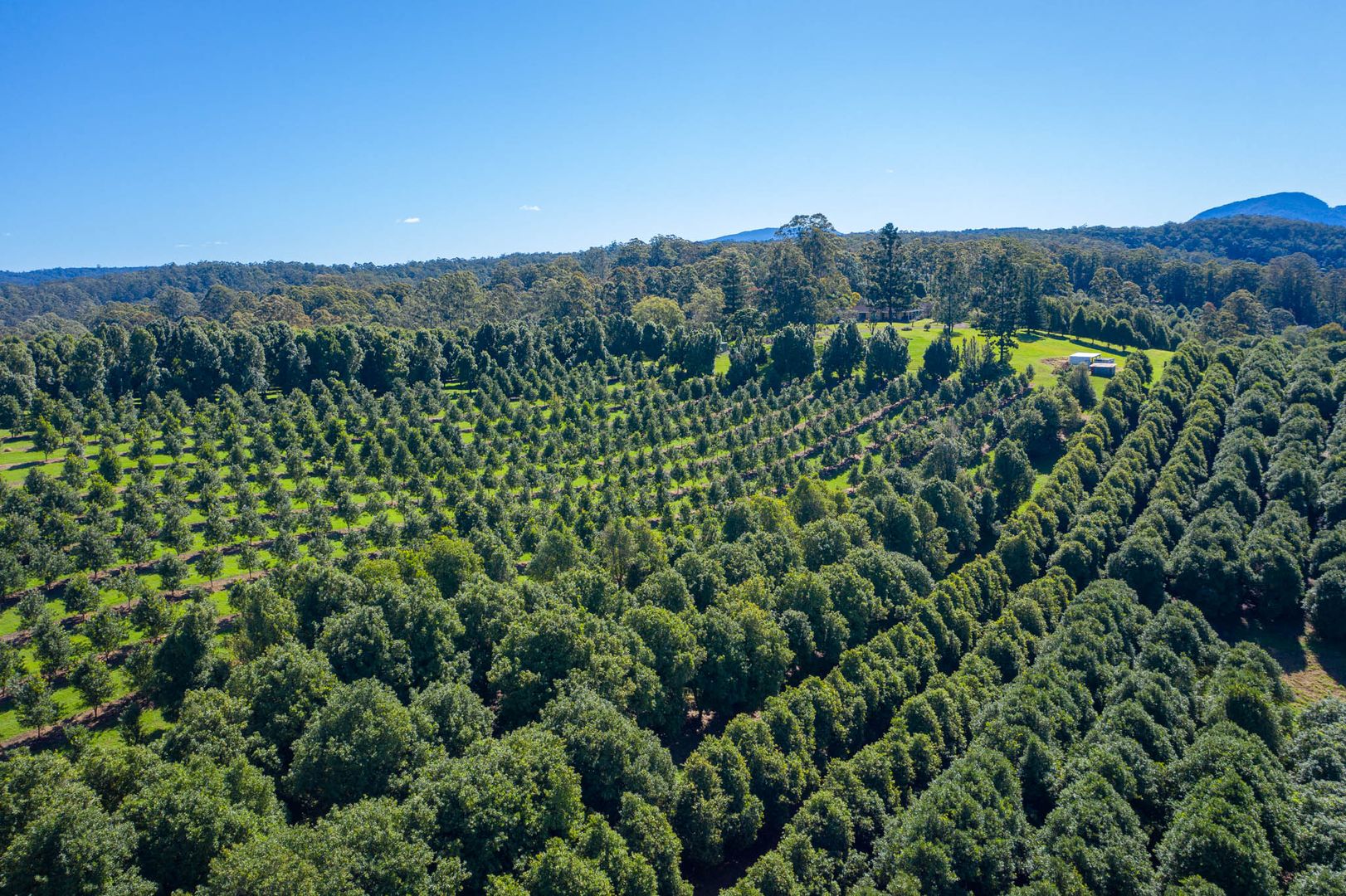 374 Davis Road, Jiggi NSW 2480 House for Sale 1,990,000 Domain