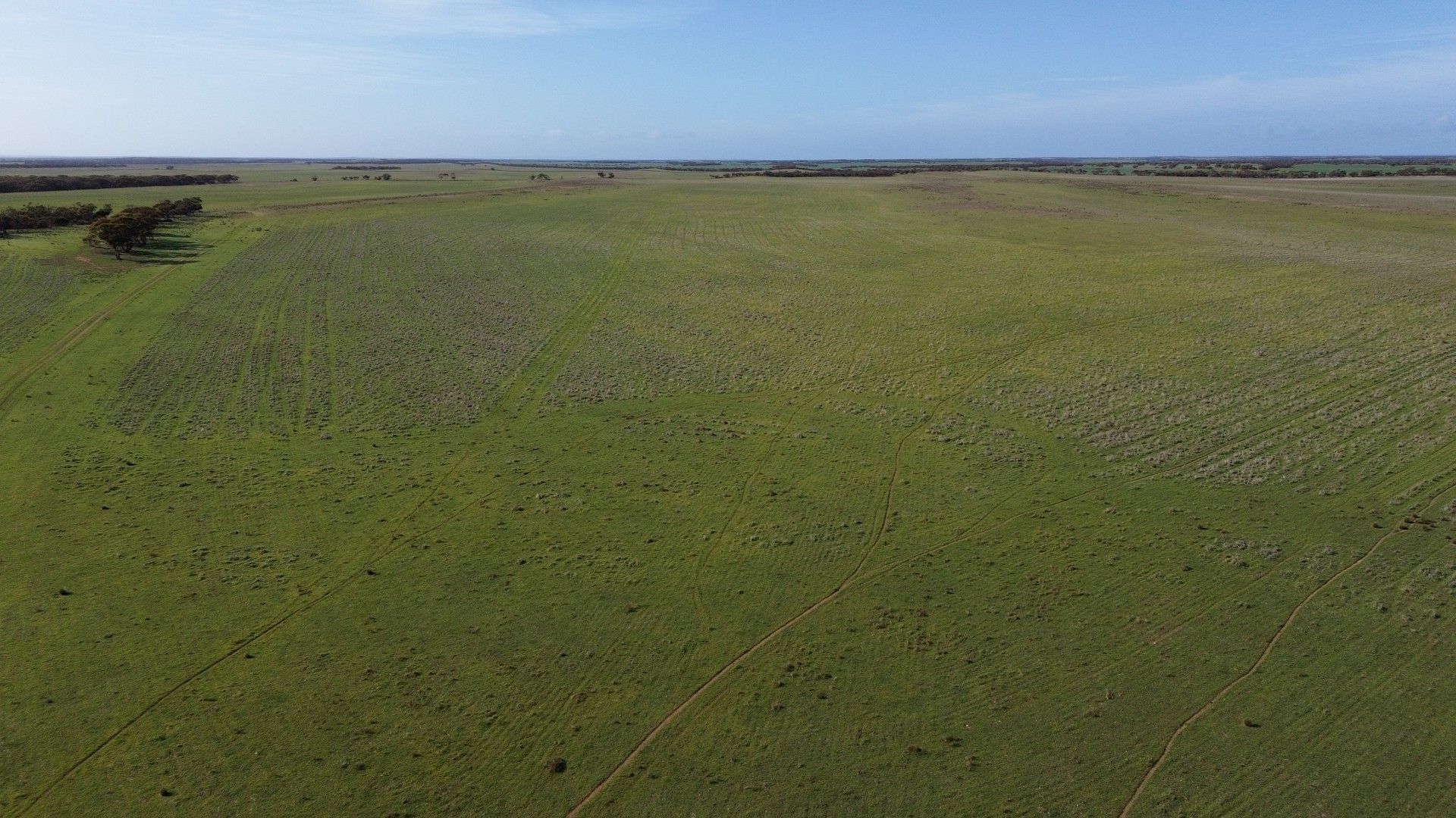 Lot 18 Tod Highway, Warramboo SA 5650, Image 2