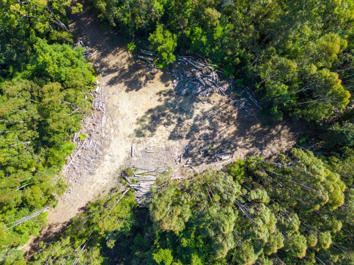 Lot 16 Lower Bobo Road, Ulong NSW 2450, Image 0