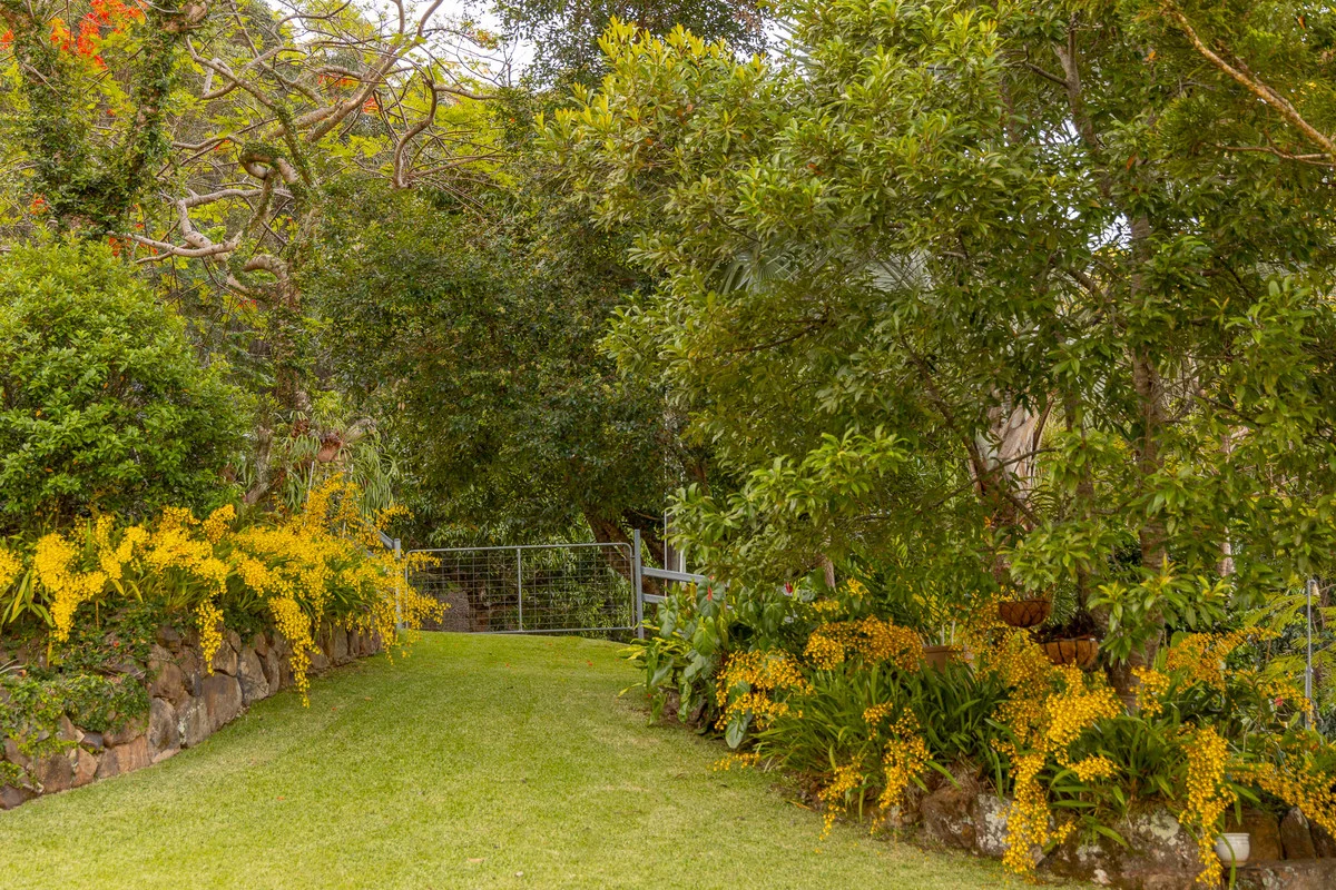 Additional image 27 of 79 Isambert Road, Glenview QLD 4553